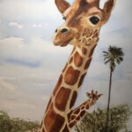 painting of two giraffes