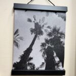 AOTM: palm trees on canvas